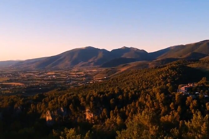 Colorful Tagliatelle & Walnut Ravioli – Home Cooking in Spoleto - Key Points You Should Know