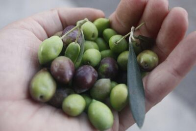 Cook with Locals | Cretan cooking Class at Archanes Village - The 3.5-hour rhythm: pickup, kitchen time, and that grocery stop