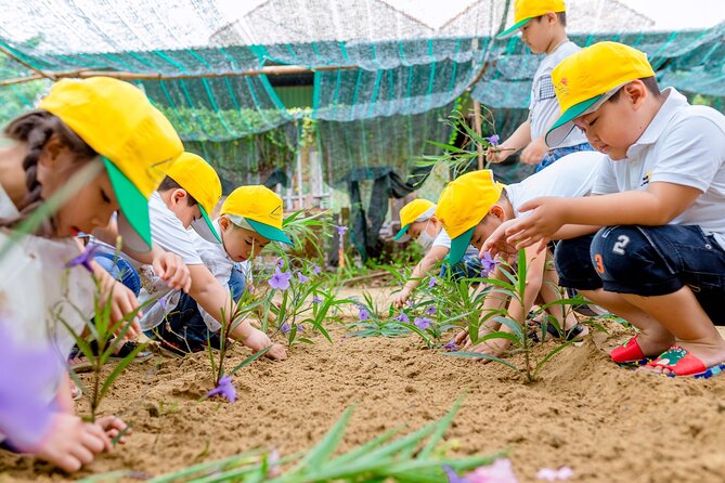 Cooking Class Hoi An - Organic Garden - Farming Tour-Handicrafts - Price and value: $33.63 for a real experience, not a rushed demo