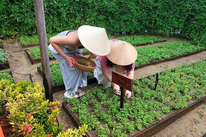 Cooking Class Hoi An - Organic Garden - Farming Tour-Handicrafts - Who should book this Caman Village organic class