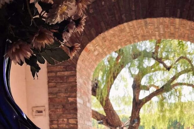 Cooking Class in a historic sicilian farmhouse - Lunch, vino, and the slow-country rhythm between lessons