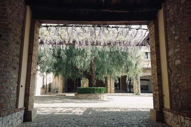 Cooking Class in a historic sicilian farmhouse - Price and logistics: is $119.14 worth it?