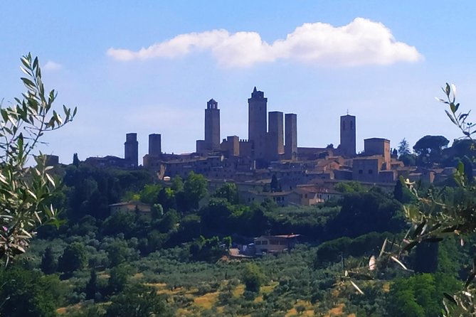 Cooking Class in a Real Tuscan Farmhouse - Why this Chianti farmhouse class feels like the real thing