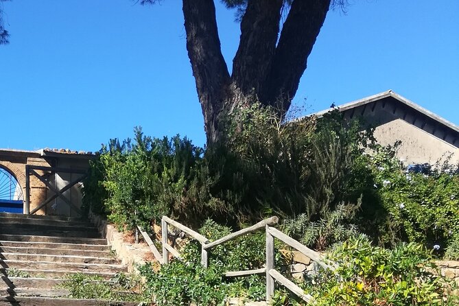 Cooking Class in a Sicilian countryhouse - Patrizia’s teaching style: friendly, clear, and actually useful