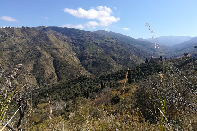 Cooking Class in a Sicilian countryhouse - Wine and lunch: what’s included and why it feels complete