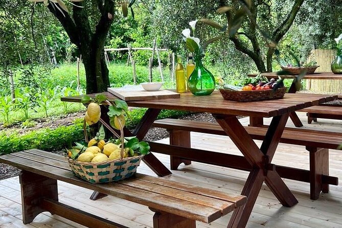 Cooking Class in a Typical Sorrento Garden - Key highlights you’ll feel from the start