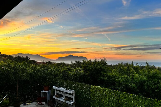 Cooking class in a villa with Palermo view - Cannoli Time: Learning the Dessert That Tells the Story