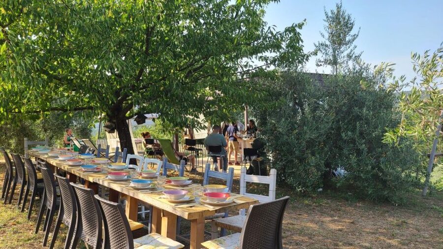 Cooking class in our family farm in Chianti with lunch - Who this Chianti class is for (and when to skip it)