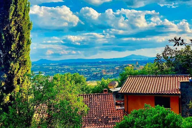 Cooking class in Tuscan Villa near Cortona - Olive oil and wine tasting that feels tied to the meal
