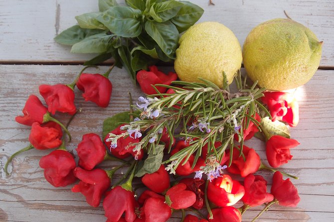 Cooking class, traditional Greek cuisine, on a Greek island - Optional Wine and Cheese Tasting for 45€ p.p.: Worth It If You Like Pairing