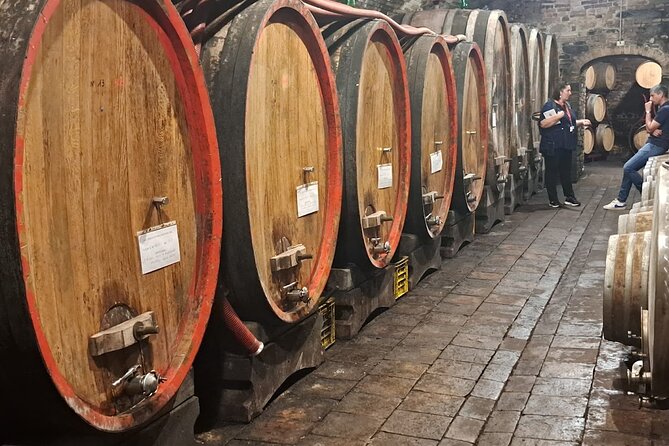Cooking class, visit to the wine cellar, 2500 year old granaries - Vegetarian options and family-friendly reality checks