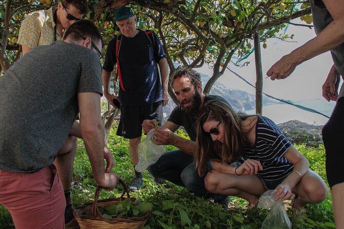 Cooking Class with garden visit - Pacing, Steps, and Comfort Tips for Amalfi Walking Days