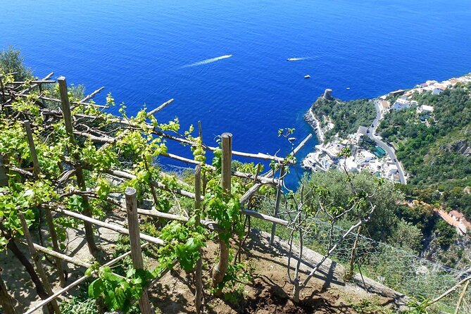 Cooking Class with garden visit - Who Should Book This Praiano Cooking Experience