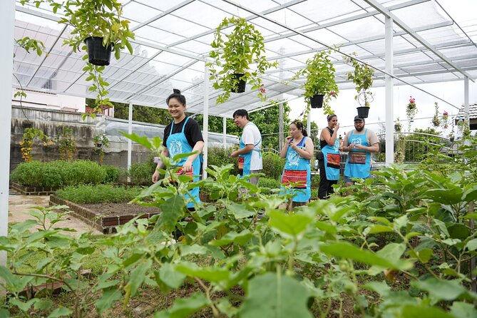 Cooking Class with Organic Farm in Chiang Mai at Mama Noi - Hotel Pickup, Then a Chiang Mai Market Primer