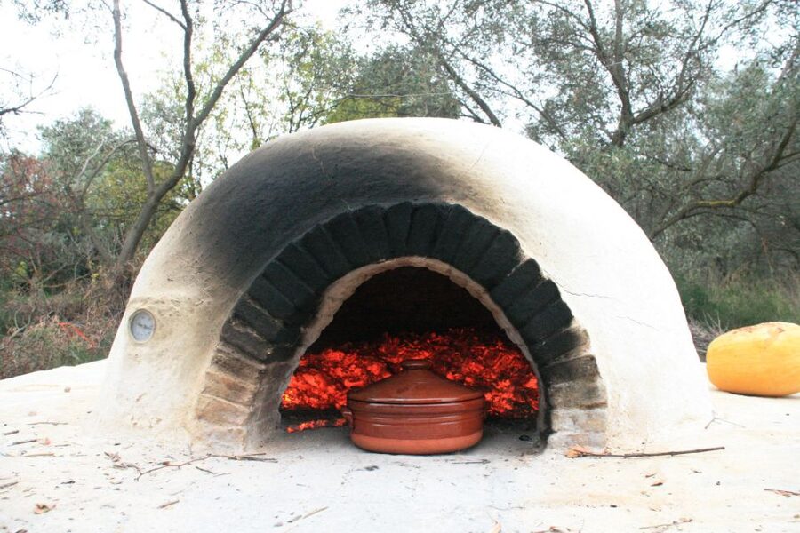 Corfu: Greek Cooking Class & Olive Oil Tasting - Time, group size, and transport: the practical stuff that affects your day