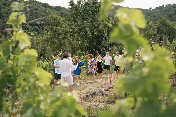 Cortecorbo winery: Pizza Cooking class, lunch & wine tasting - Cantina tour and barrel aging tastings in a maker’s voice