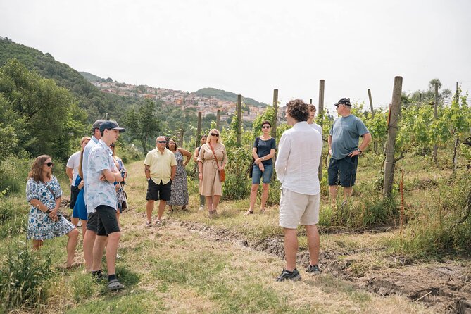 Cortecorbo winery: Pizza Cooking class, lunch & wine tasting - Wood-fired pizza class: make it, shape it, cook it