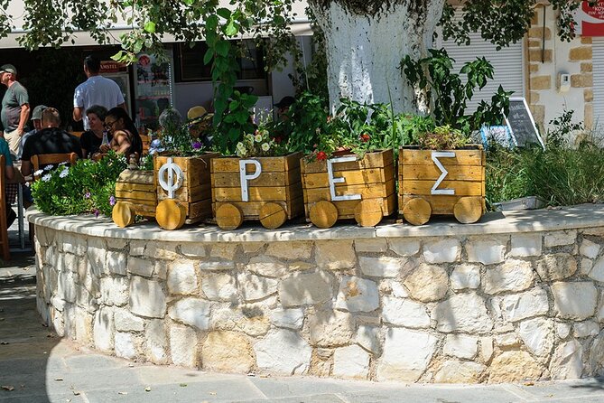 Cretan Delights - Wine, Olive Oil & Cooking Workshop from Chania - What you’ll actually get: included vs. not included