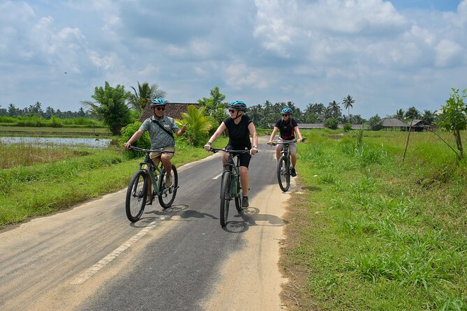 Cycling and Cooking Class in Ubud - What your day feels like: timing, pace, and group experience