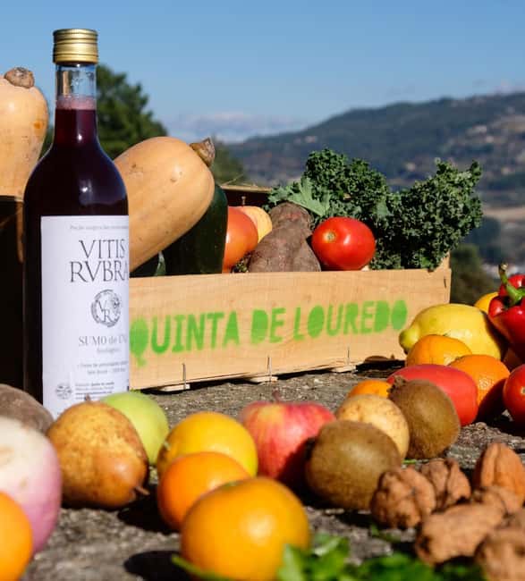 Douro Valley: Traditional Cooking Class, Farm Tour and Lunch - Key highlights you’ll feel (not just read)