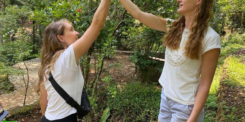 Ella : Cooking class with amazing Spice Garden Tour - Key Highlights You’ll Actually Care About