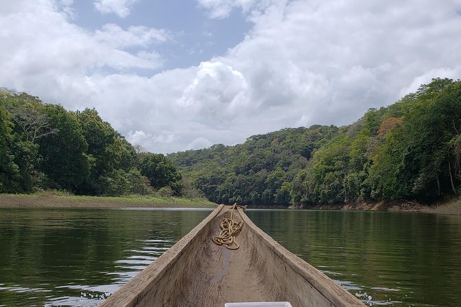 Embera Village Cooking Class with Gatun Lake Boat Safari - Gatun Lake boat safari: the “warm-up” that helps you enjoy the main ride