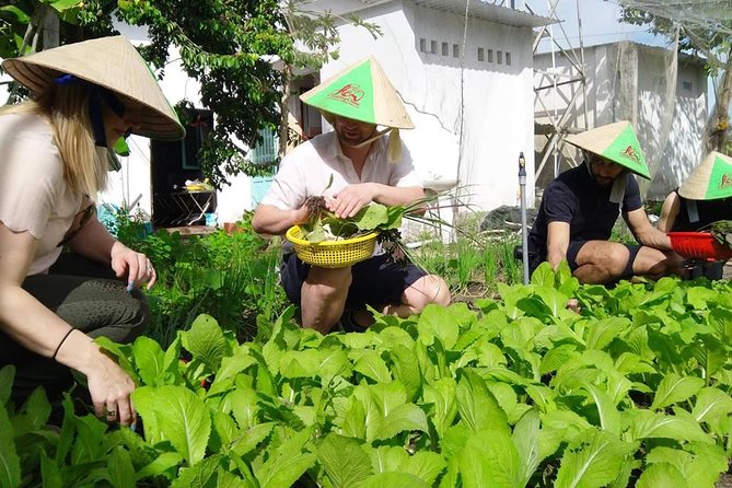 Explore Vietnamese Cuisine: Cooking Class from Ho Chi Minh City - Organic farm tour and harvest: nutrition lessons on the ground