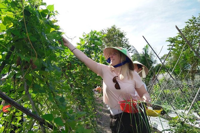 Explore Vietnamese Cuisine: Cooking Class from Ho Chi Minh City - Lunch: you sit down to what you cooked
