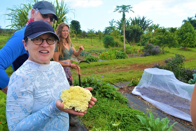 Farm to Table Cooking Class at Kulaniapia Falls - Key highlights worth clocking
