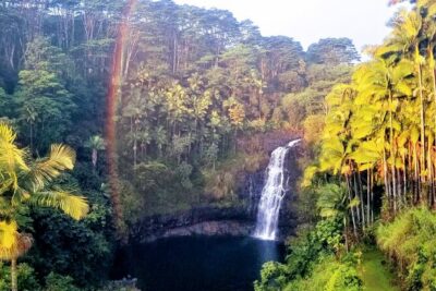 Farm to Table Cooking Class at Kulaniapia Falls - What’s on the menu: seasonal produce, plant-based comfort