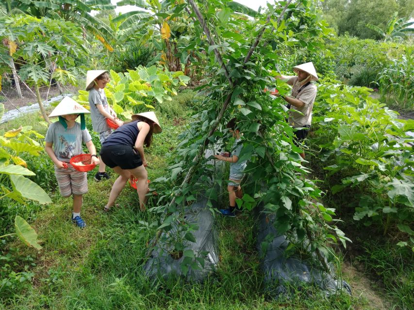 Farm-To-Table Healthy Cooking Class: Half-Day Tour - Mushroom house: varieties, not just one mushroom