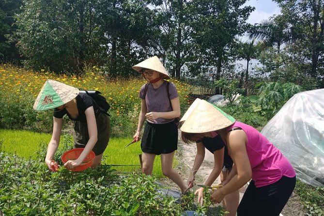 Farm-To-Table Healthy Cooking Class in Ho Chi Minh City - Open-air cooking: four dishes, one technique at a time