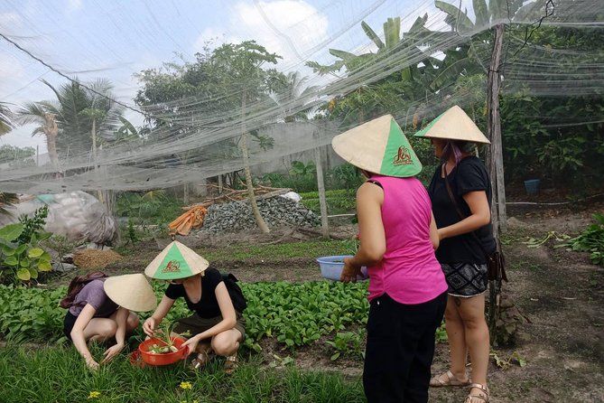 Farm-To-Table Healthy Cooking Class in Ho Chi Minh City - Who this class is perfect for (and who should think twice)