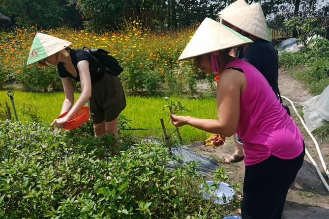 Farm-To-Table Healthy Cooking Class in Ho Chi Minh City - Practical tips to make your day easier
