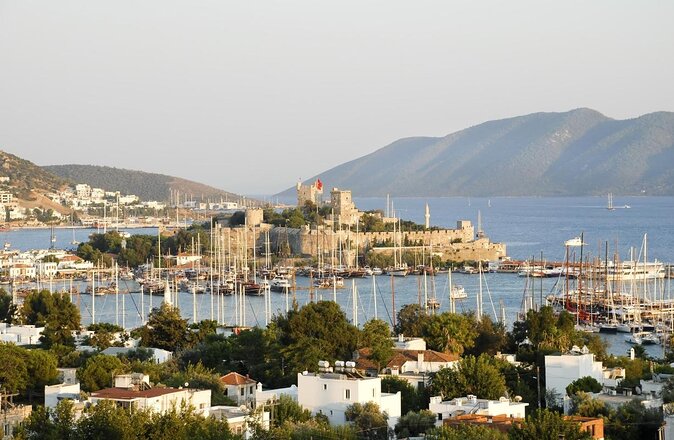 Farmers Market visit & Turkish Cooking Class - Key highlights to look for