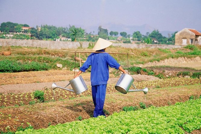 Farming & Cooking Class in Hoi An - Small Group Tour - Key highlights you’ll care about