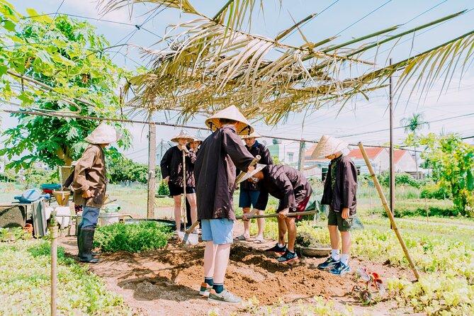 Farming & Cooking Class in Hoi An - Small Group Tour - Lunch: eating what you made (and why that matters)