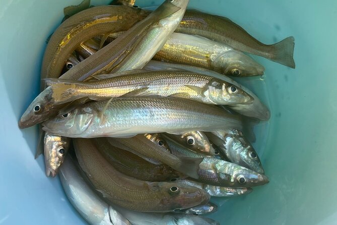 Fishing with Mt. Fuji Views and Japanese Home Cooking Experience - From catch to cooking: turning fish into a real Japanese meal