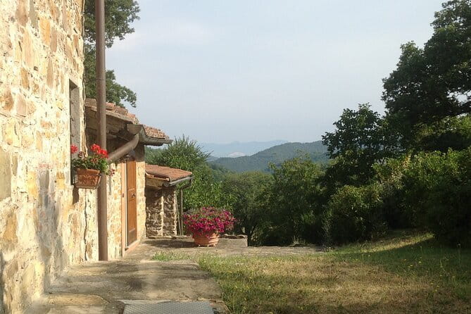 Florence Cooking Class in a Gorgeous Countryside Home with Maria - Market time at Il Mercato Centrale Firenze and the San Lorenzo area