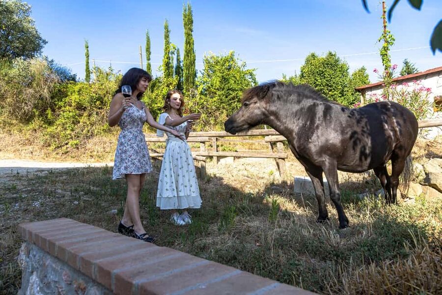 Florence: Cooking Class on a Traditional Tuscan Farm - Fattoria Palaia: why a farm kitchen beats a studio class