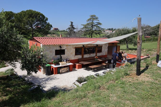 Focaccia and Pesto Cooking Class in the Roman Countryside - Traditional tiramisù: ending strong with the one dessert everyone recognizes
