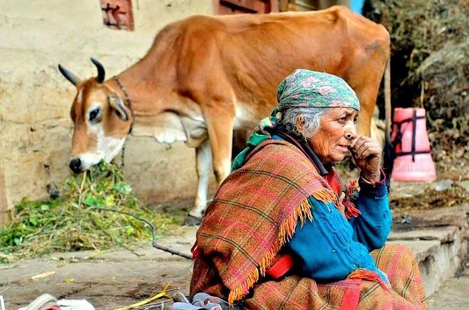 Food Tour With Cooking Class in Local Village from Delhi - Who This Tour Fits Best (and Who Should Rethink It)