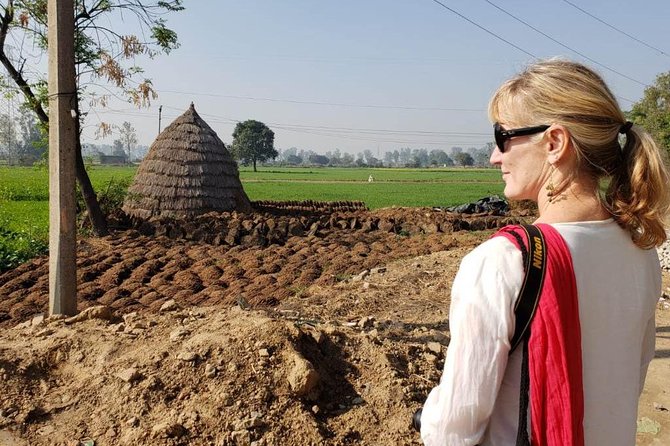 Food Tour With Cooking Class in Local Village from Delhi - Village Walk, School Visit, and the Ox-Cart Ride
