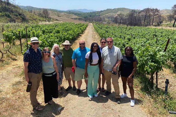 Food & Wine Tour: 11- Course Lunch, Cooking Class, Wine Tasting - Wine Lesson That Actually Helps You Taste