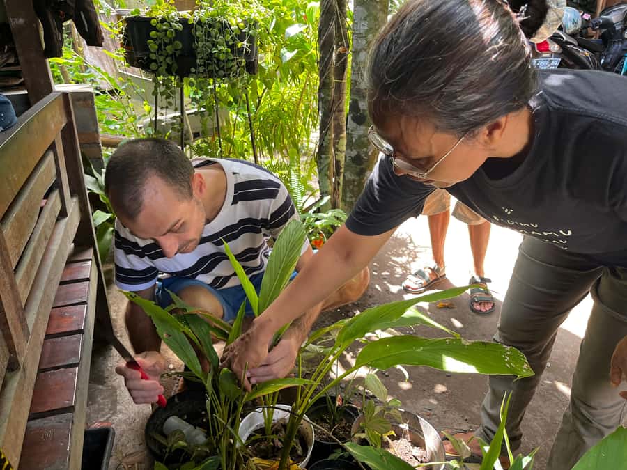 From Garden to Table: Indonesian Cooking Class in Yogyakarta - Key highlights to look for