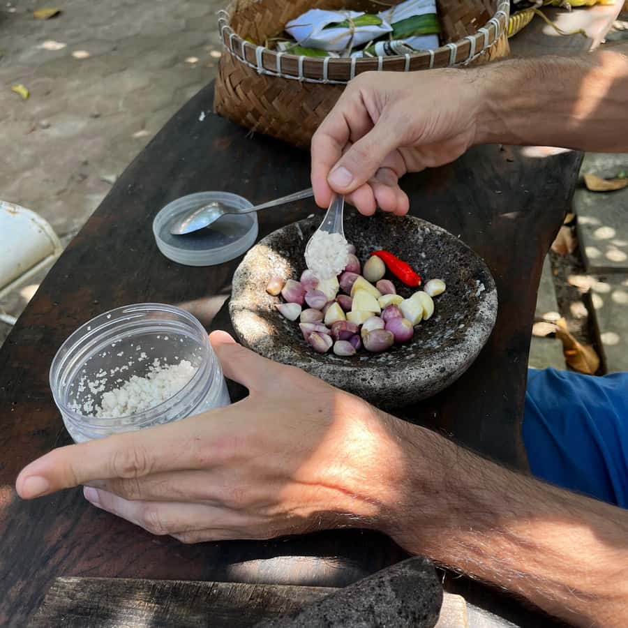 From Garden to Table: Indonesian Cooking Class in Yogyakarta - Cats, calm surroundings, and staying comfortable in the heat