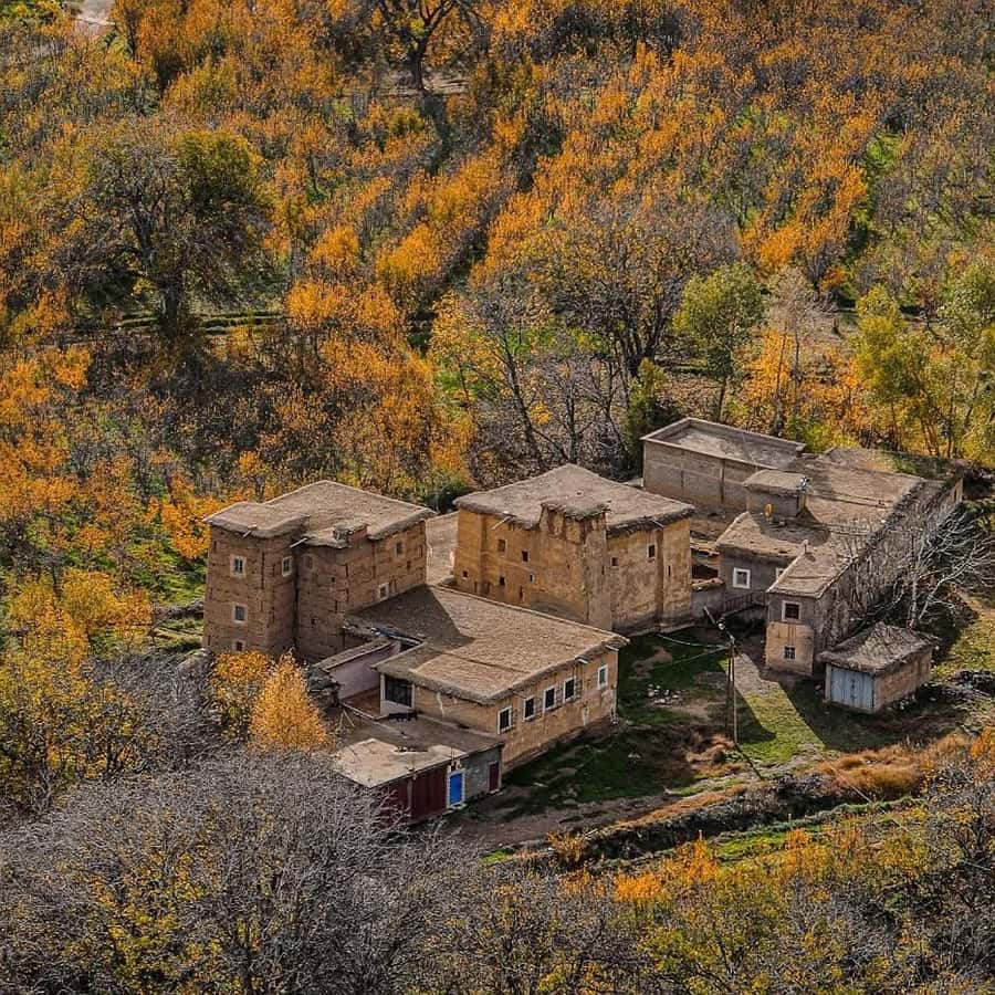 From Marrakech: Atlas Mountains & Berber Lunch - Homemade Amazigh lunch: the flavor reason to book this