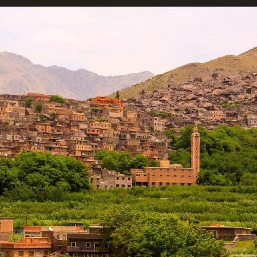 From Marrakech: Atlas Mountains & Berber Lunch - Price and value: what $19 buys you in the Atlas