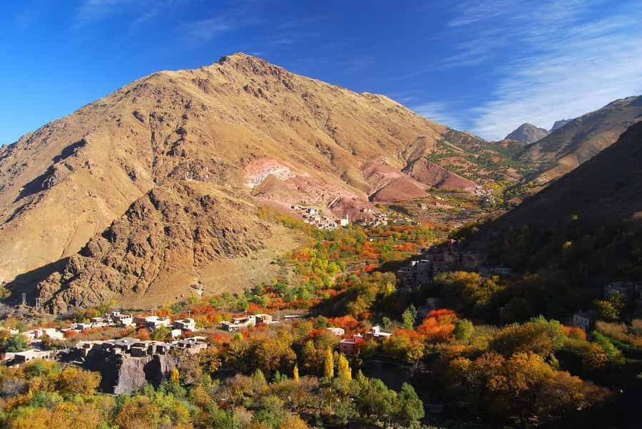 From Marrakech: High Atlas Berber Cooking Class - Why This Atlas Berber Cooking Class Feels Different From City Cooking