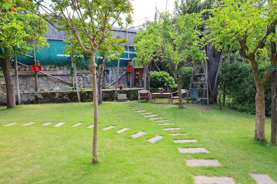 From Sorrento to Meta: cook with a local family and enjoy the garden!! - The 4-hour flow: aperitif, hands-on cooking, and a real meal
